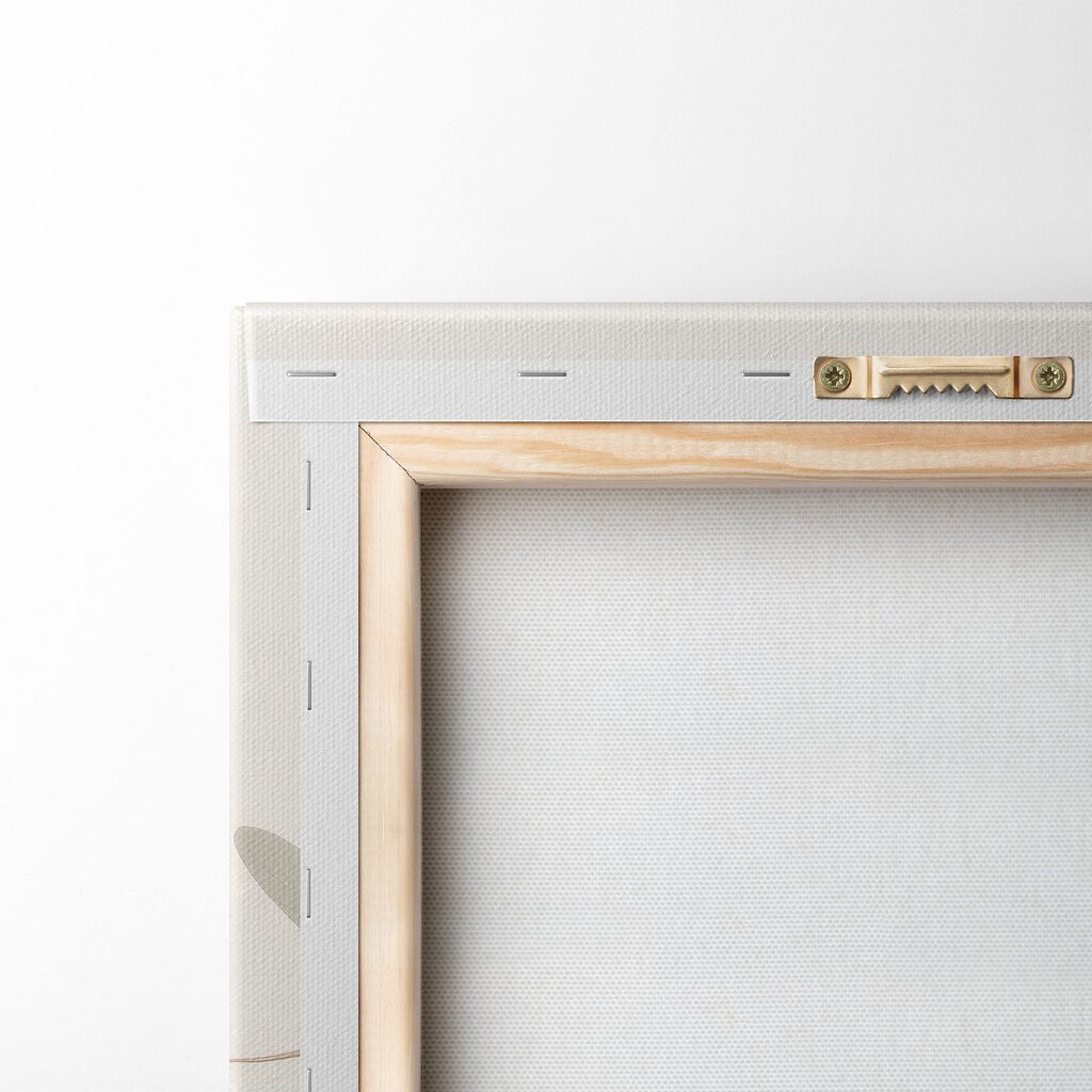 Butterfly on a flower