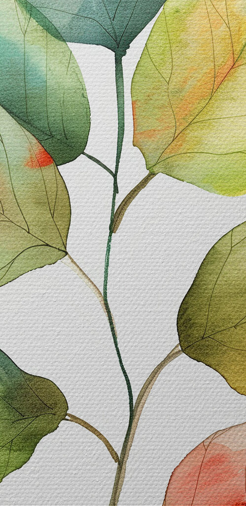 Watercolor of a leaf Watercolor of a leaf