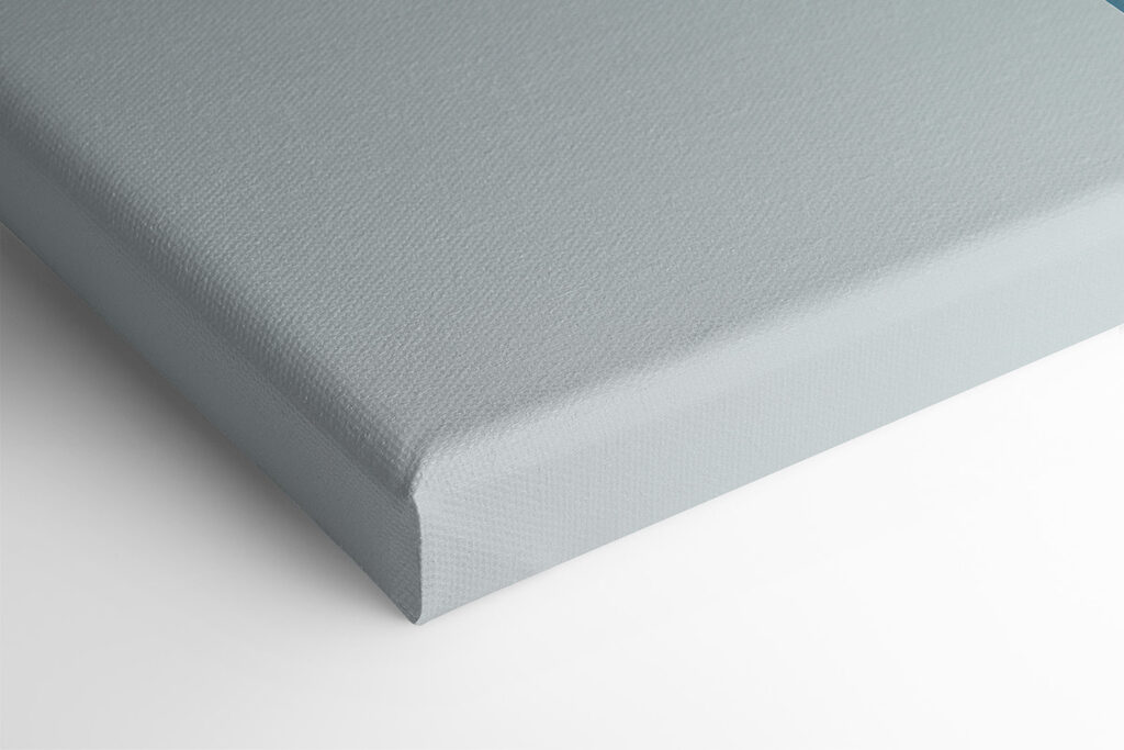 Pink and white flower