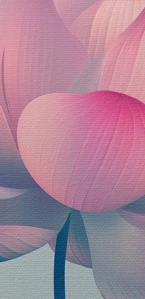 Pink and white flower