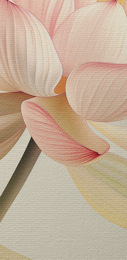 Gentle beauty of a blooming lotus