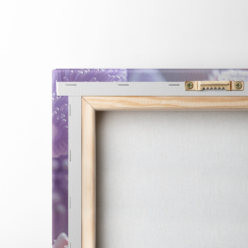 Close up of a flower Close up of a flower