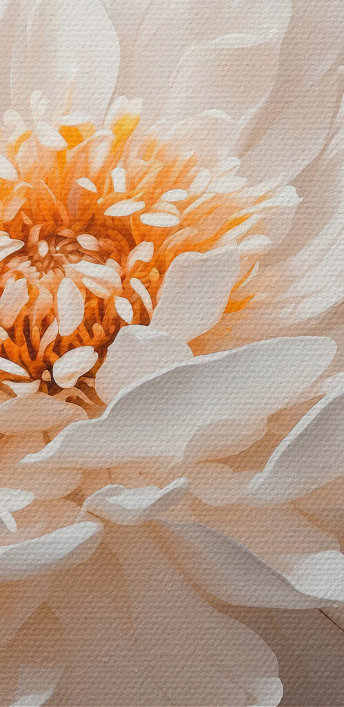 Close up of a white flower Close up of a white flower