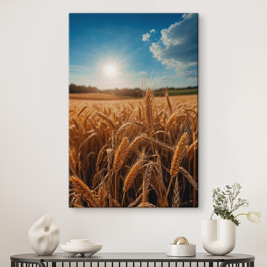 Field of wheat with the sun shining in the background Field of wheat with the sun shining in the background