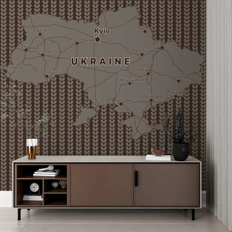 Mapa Ukrajiny s líniami a mestami