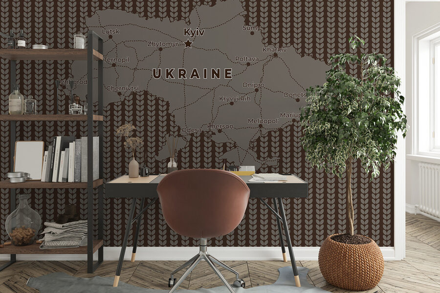 Mapa Ukrajiny s líniami a mestami