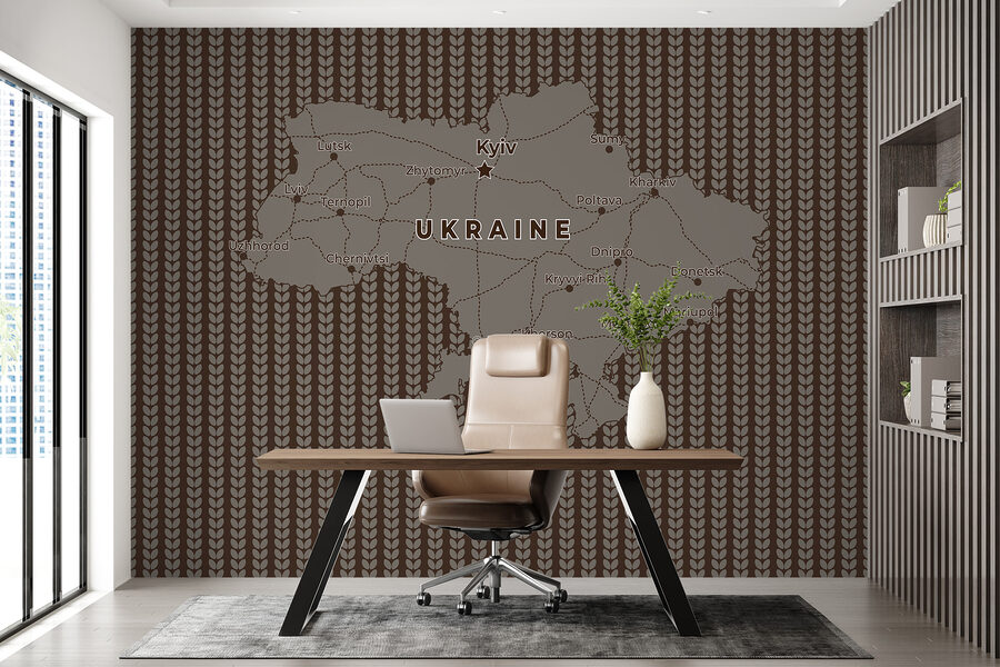 Mapa Ukrajiny s líniami a mestami