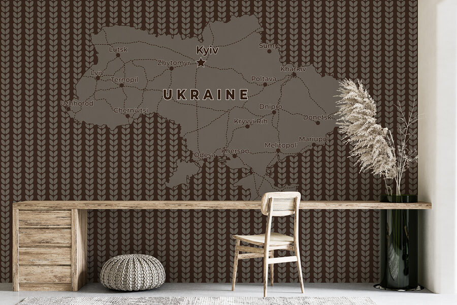 Mapa Ukrajiny s líniami a mestami