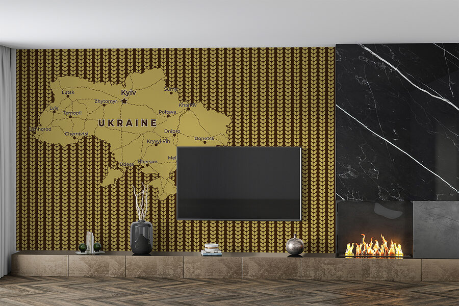 Mapa Ukrajiny s líniami a mestami