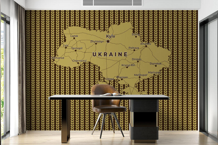 Mapa Ukrajiny s líniami a mestami