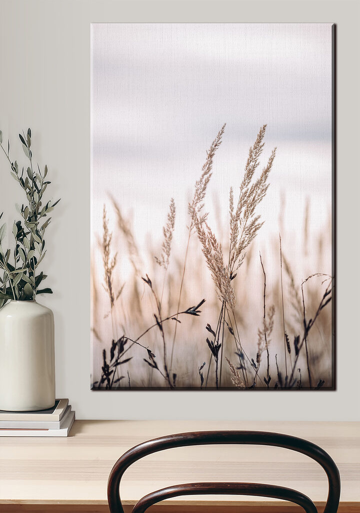 Close up of a plant Close up of a plant