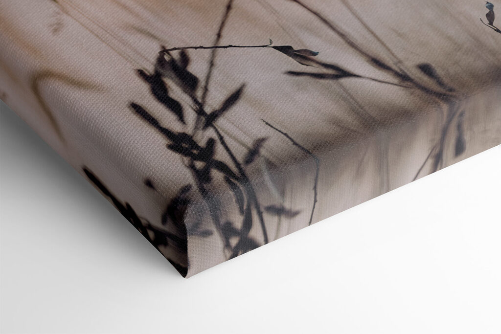 Close up of a plant Close up of a plant