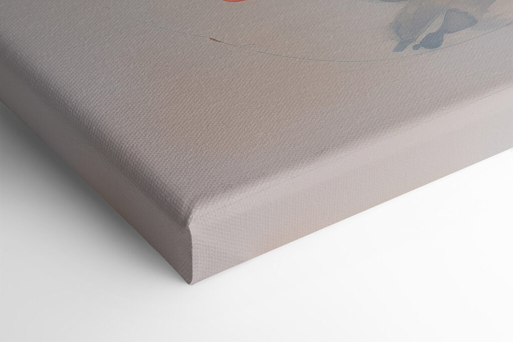 Group of orange and white fish Group of orange and white fish