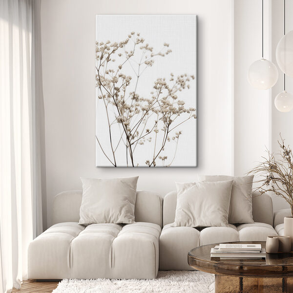 Rastlina zblízka Rastlina zblízka