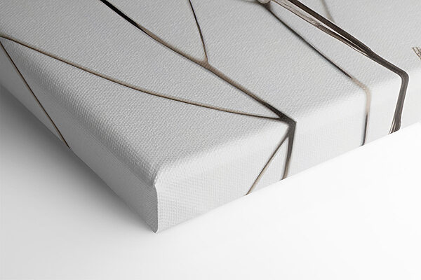 Rastlina zblízka Rastlina zblízka