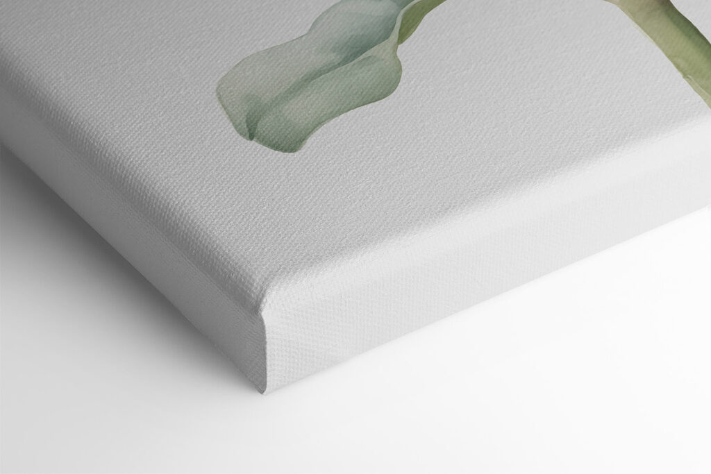 Close up of a plant Close up of a plant