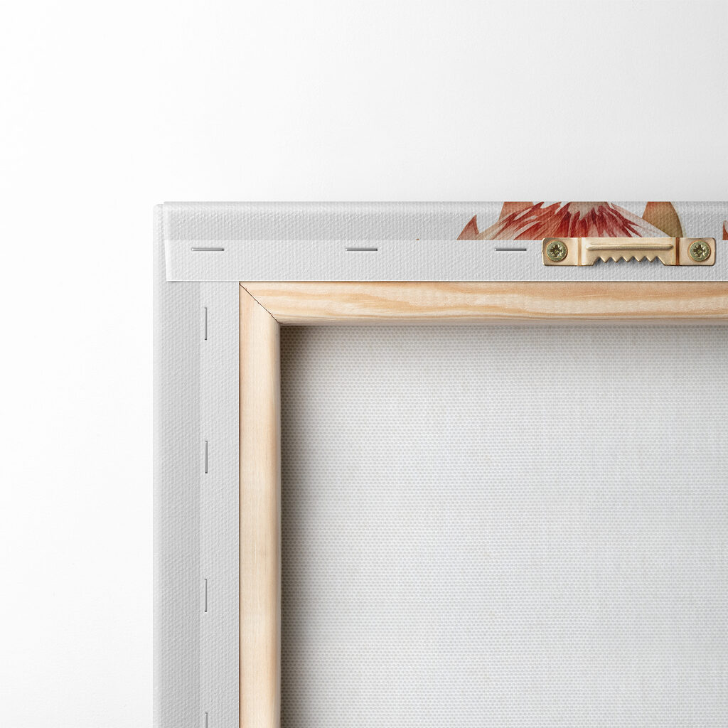 Close up of a plant Close up of a plant