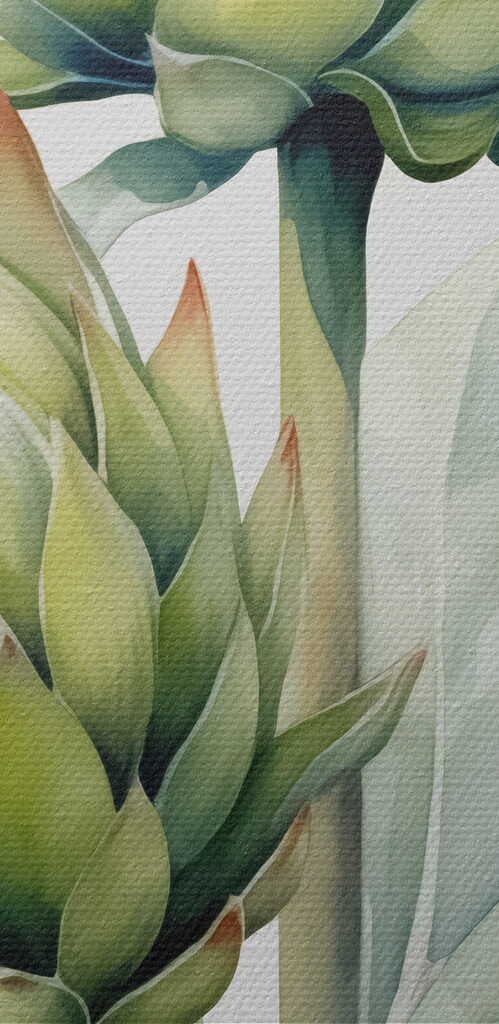 Close up of a plant Close up of a plant