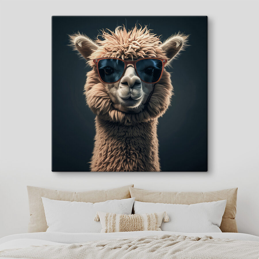 Lama nosí slnečné okuliare Lama nosí slnečné okuliare
