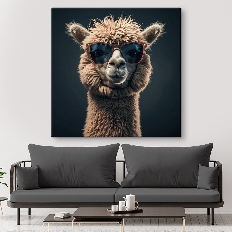 Lama nosí slnečné okuliare Lama nosí slnečné okuliare