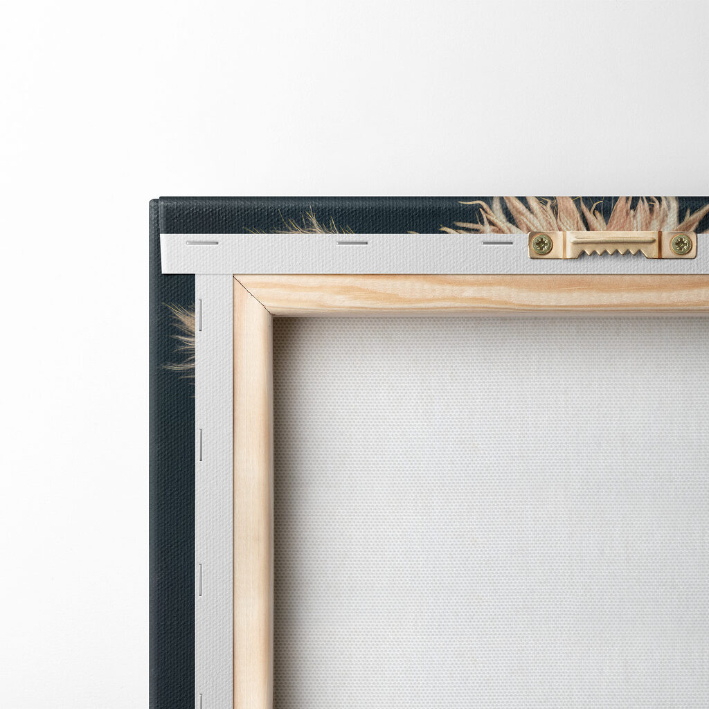 Llama wearing sunglasses