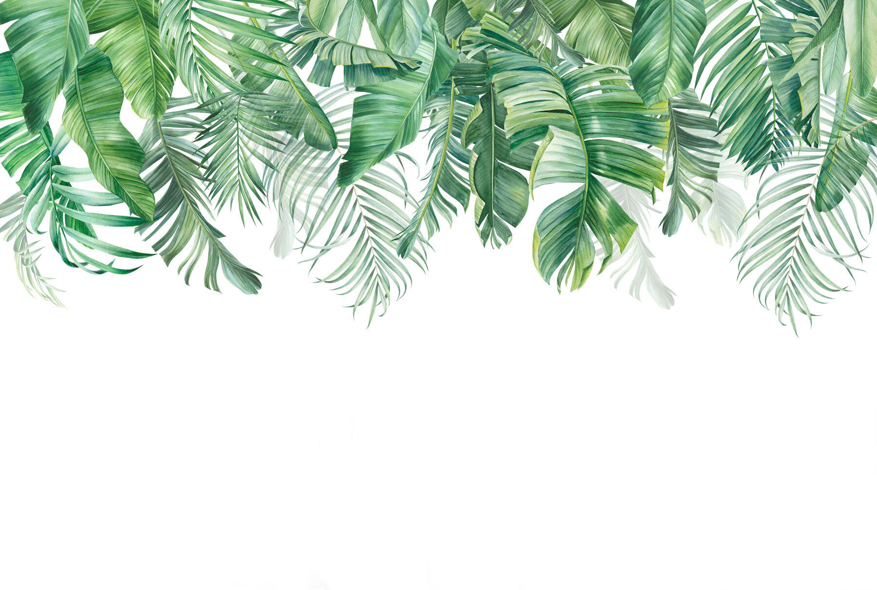 Row of green leaves Row of green leaves