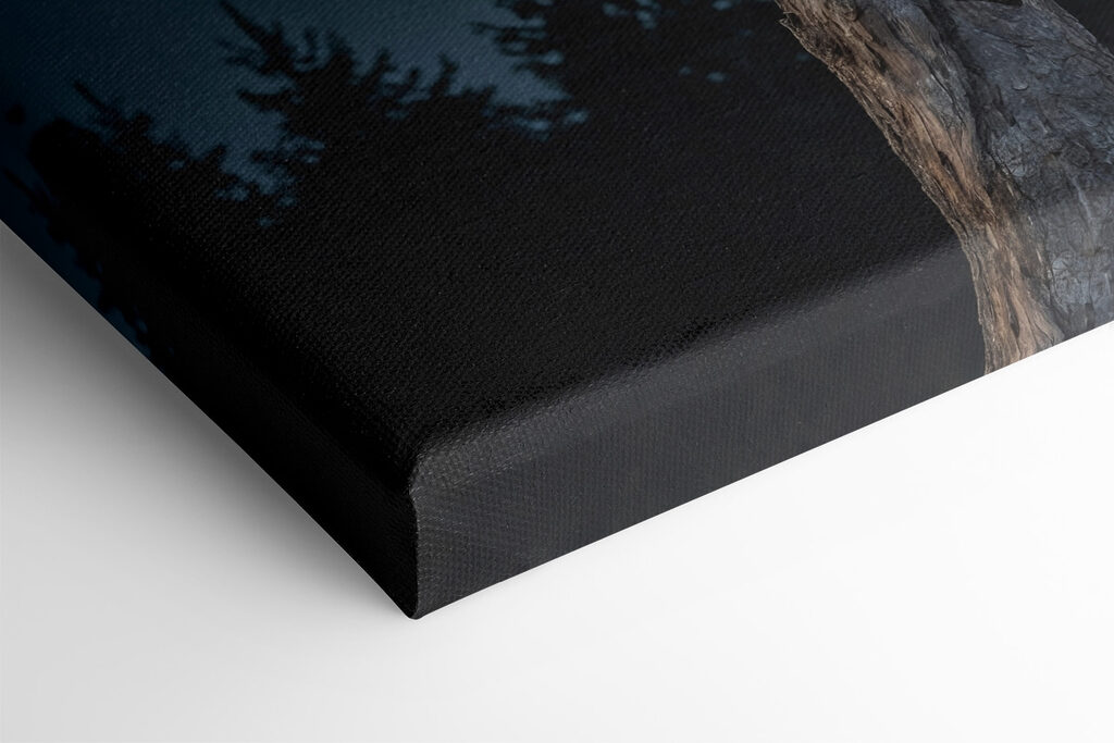 Bald eagle on a post with a full moon in the background