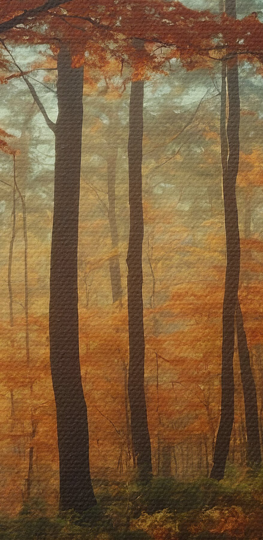 Cesta lesom s oranžovými listami Cesta lesom s oranžovými listami