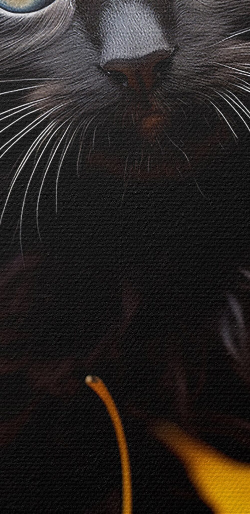 Black kitten in a pile of leaves