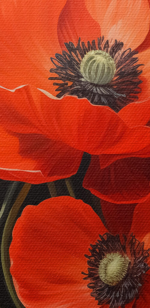 Close up of flowers Close up of flowers