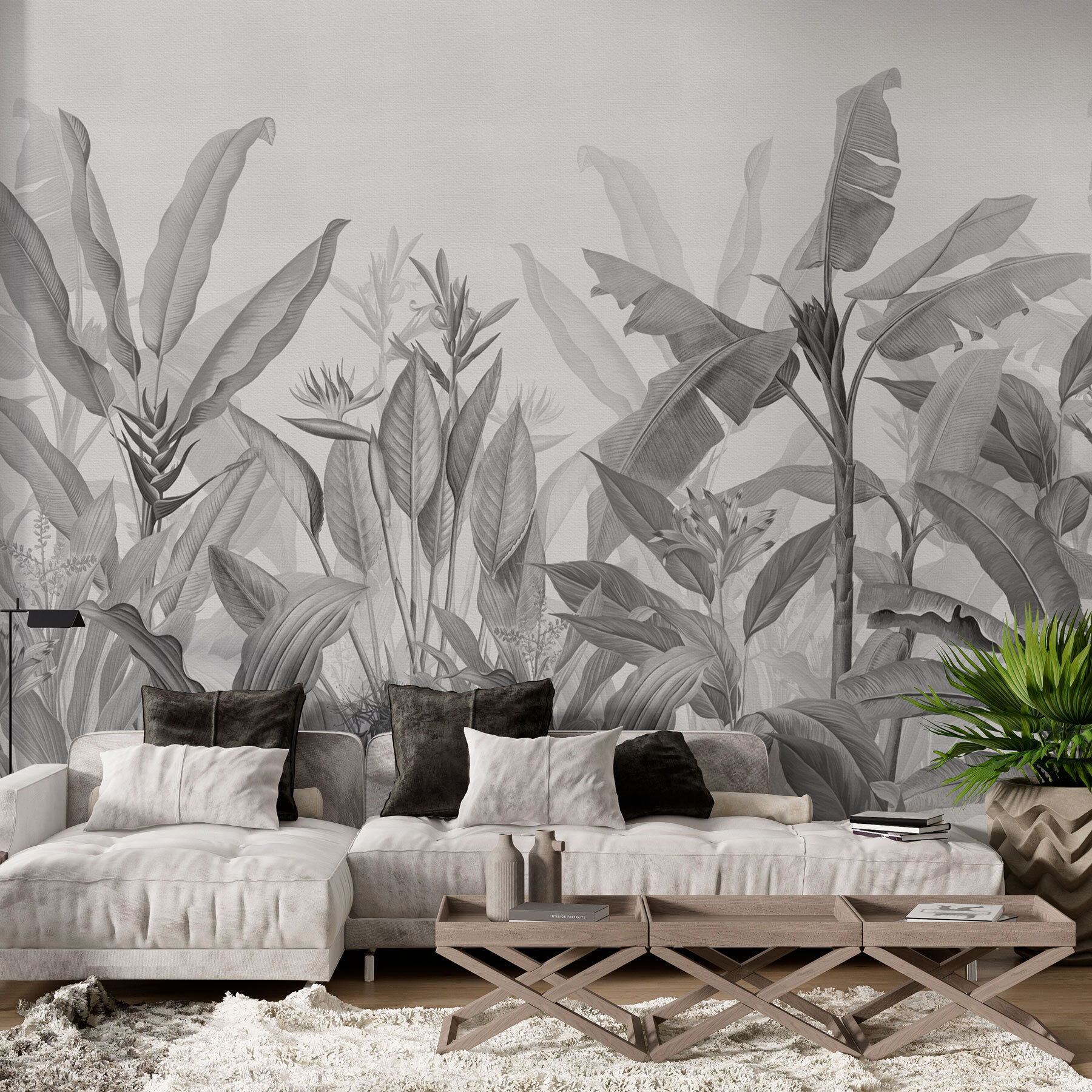 Close up of plants Close up of plants