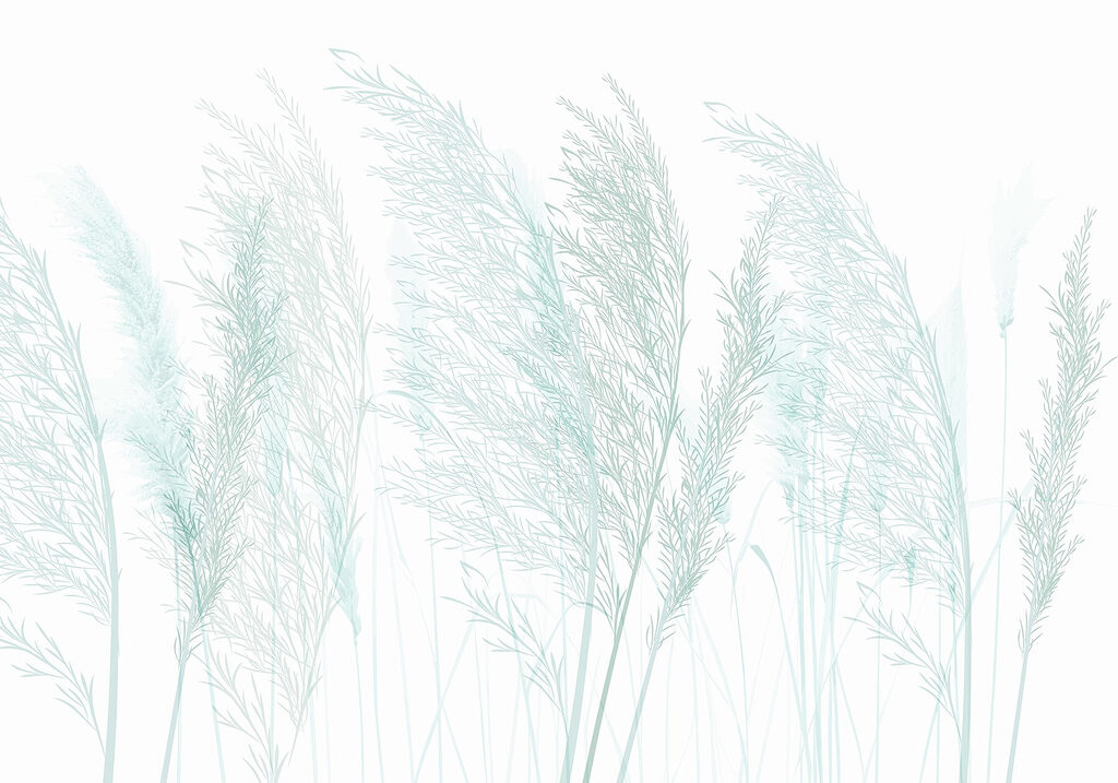 Close up of grass