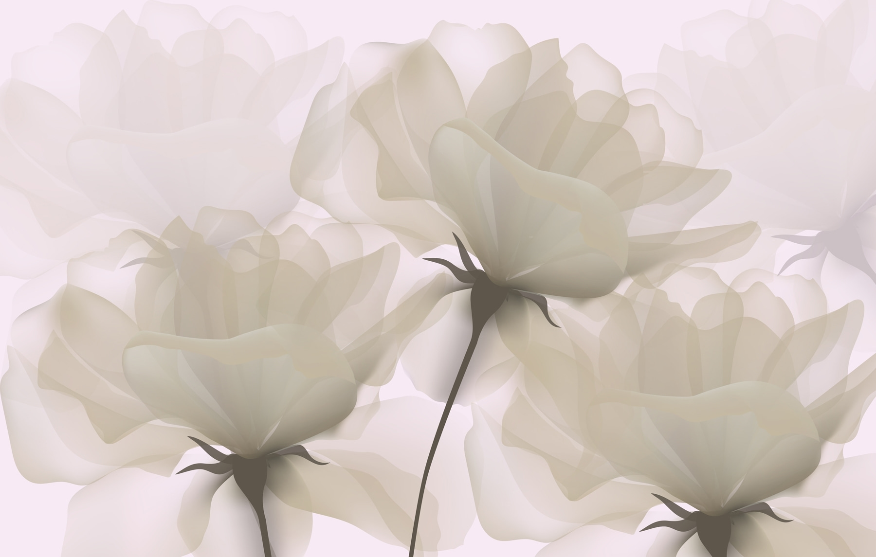 Group of white flowers Group of white flowers