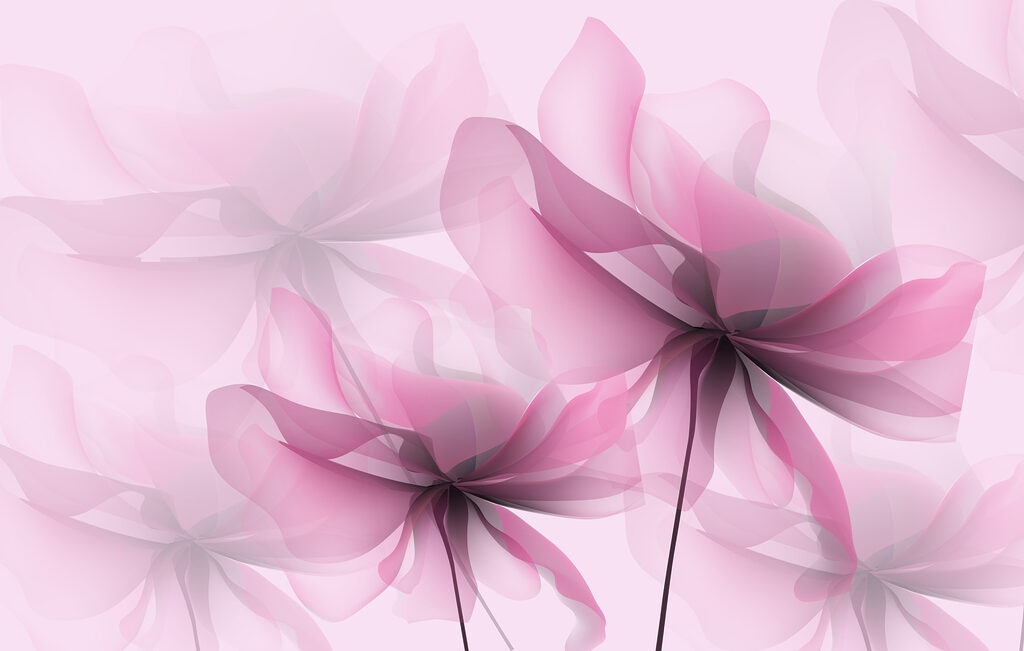 Kvety zblízka Kvety zblízka