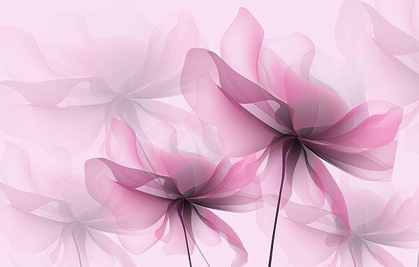 Kvety zblízka Kvety zblízka