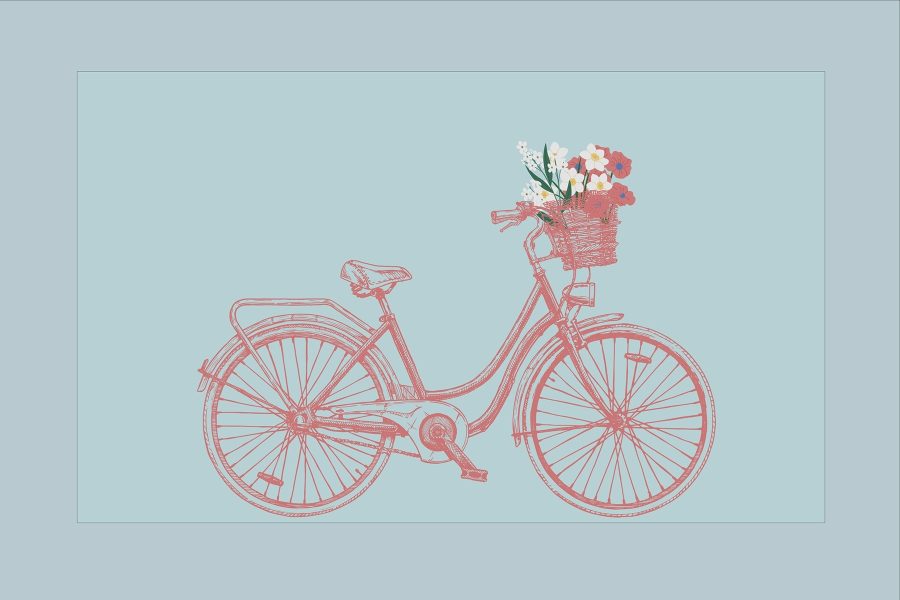 Bicykel s kvetmi v košíku