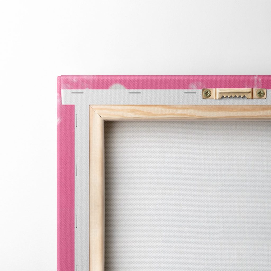 Rabbit wearing pink glasses Rabbit wearing pink glasses