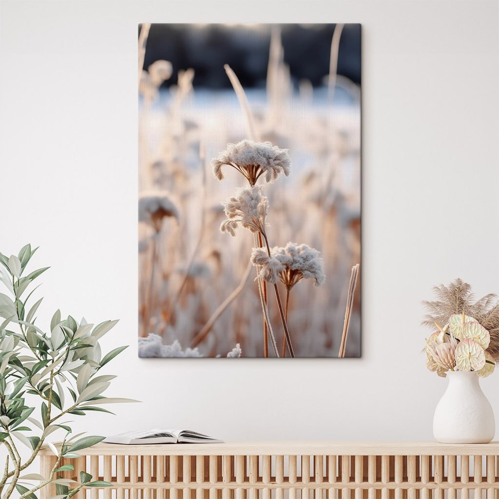 Frost-kissed flora in morning light
