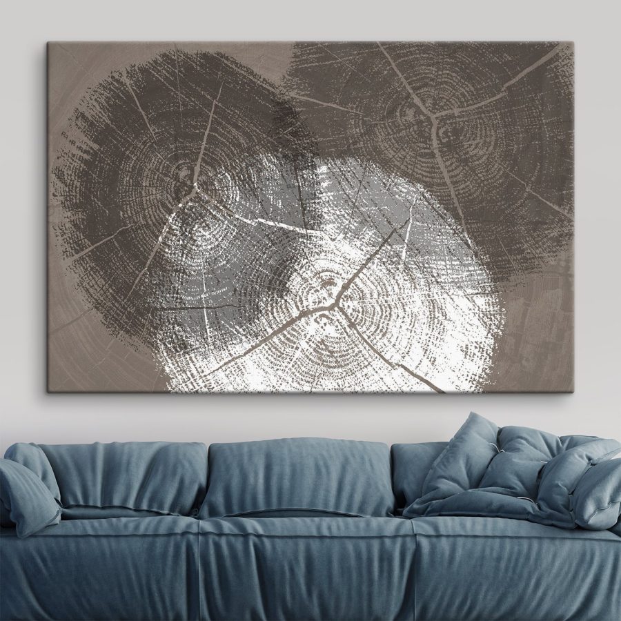 Kruhy stromov v monochromatickom detaile Kruhy stromov v monochromatickom detaile