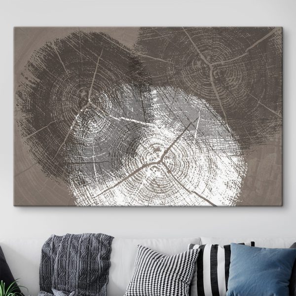 Kruhy stromov v monochromatickom detaile Kruhy stromov v monochromatickom detaile