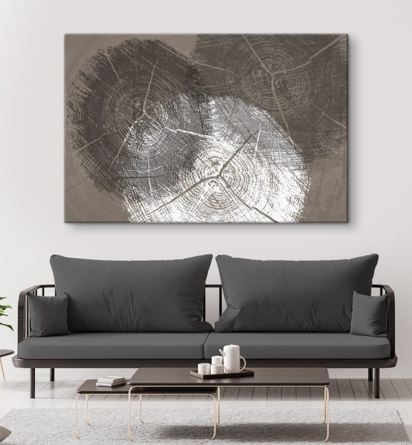 Kruhy stromov v monochromatickom detaile Kruhy stromov v monochromatickom detaile