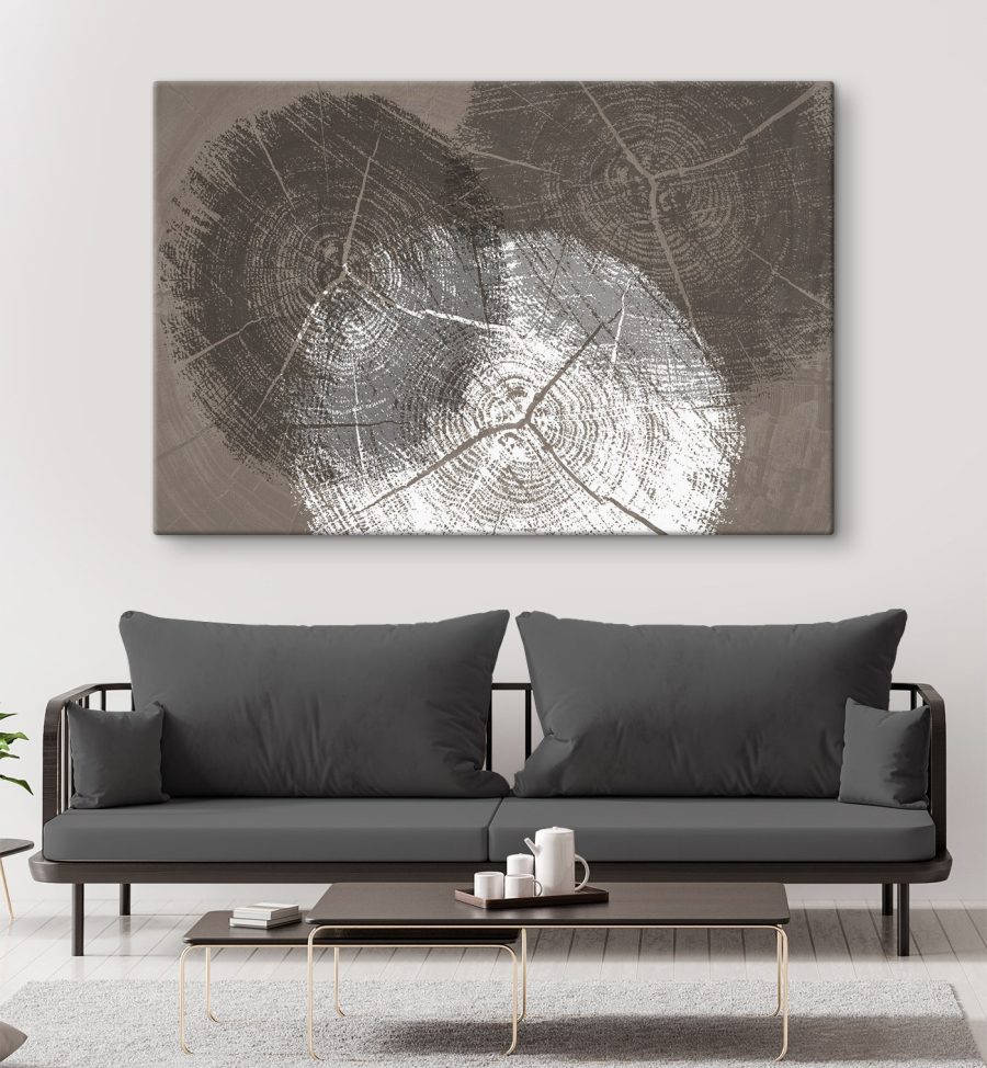 Kruhy stromov v monochromatickom detaile Kruhy stromov v monochromatickom detaile