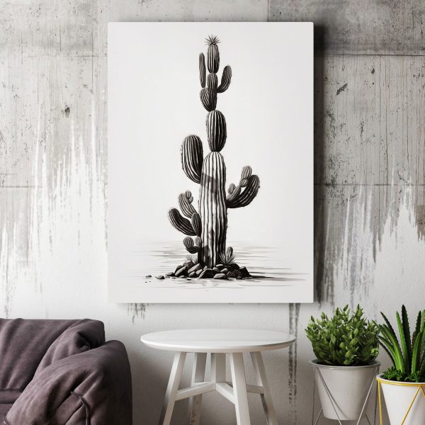 Cactus with a white background