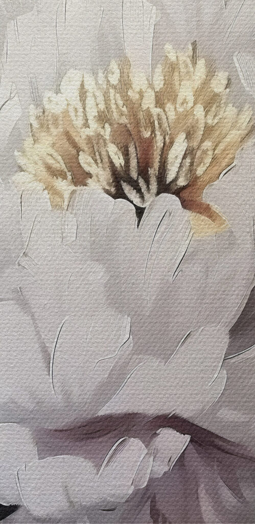 Peony in Subtle Hues Peony in Subtle Hues