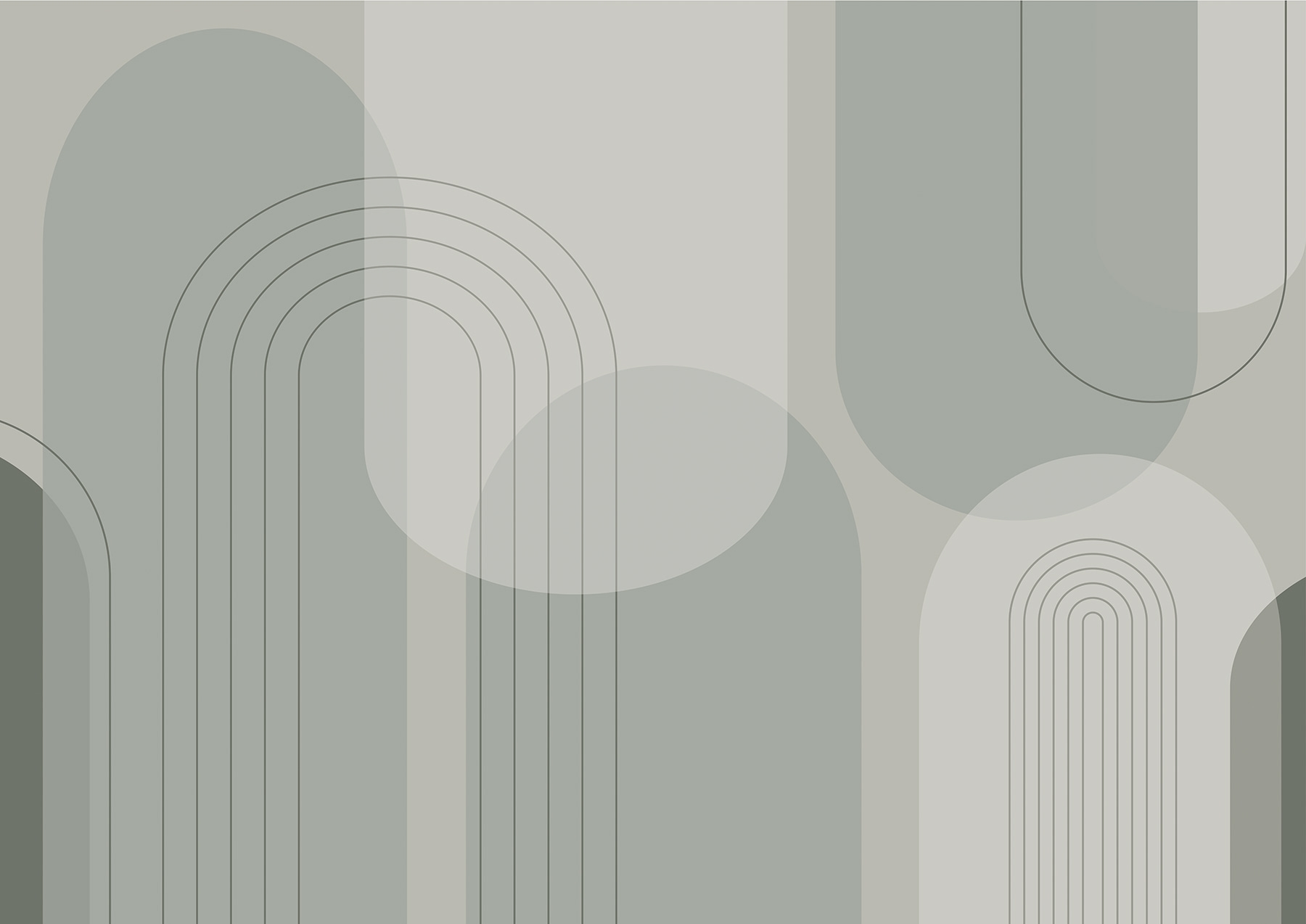 Grey and white background with lines and circles Grey and white background with lines and circles