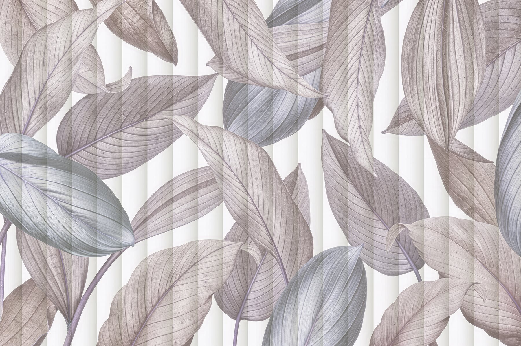 Soft hues of nature's elegance Soft hues of nature's elegance