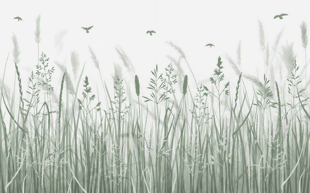 Field of grass with birds flying Field of grass with birds flying