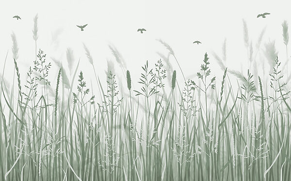 Field of grass with birds flying Field of grass with birds flying