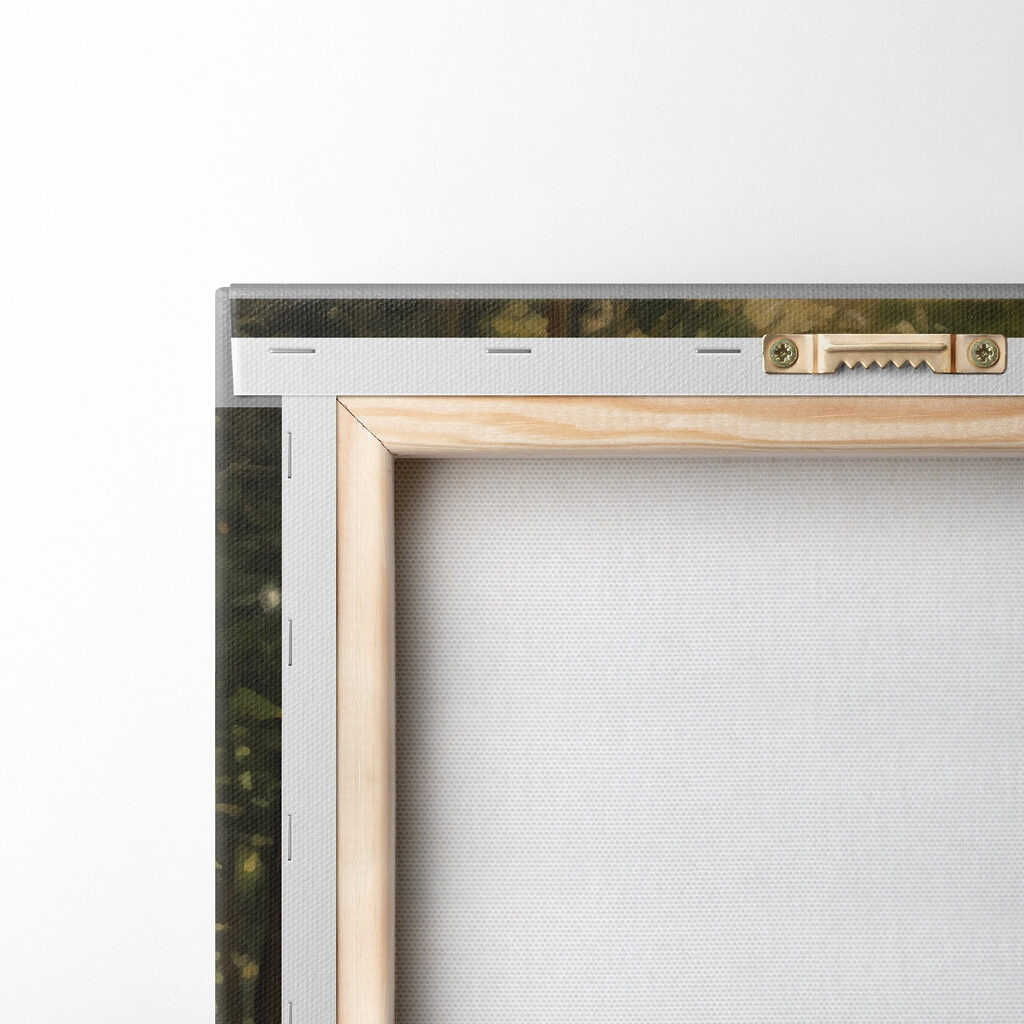 Dirt road through a forest Dirt road through a forest