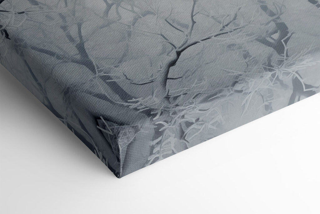 Tree branches with snow on them